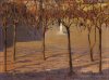 1918 - Siesta d'autunno